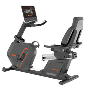 ER390 Recumbent Bike