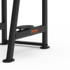 CG2045 Leg Raise/Dip