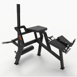 BG2030 Waist-Hip Training