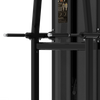 CG2A16 Assistant Chin/Dip