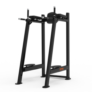 CG2045 Leg Raise/Dip