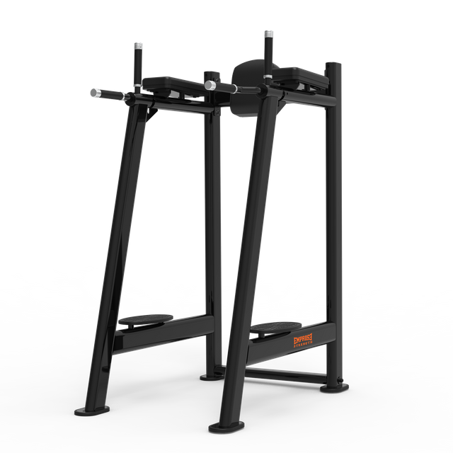 CG2045 Leg Raise/Dip