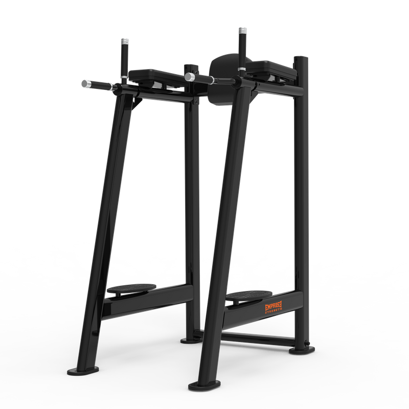 CG2045 Leg Raise/Dip