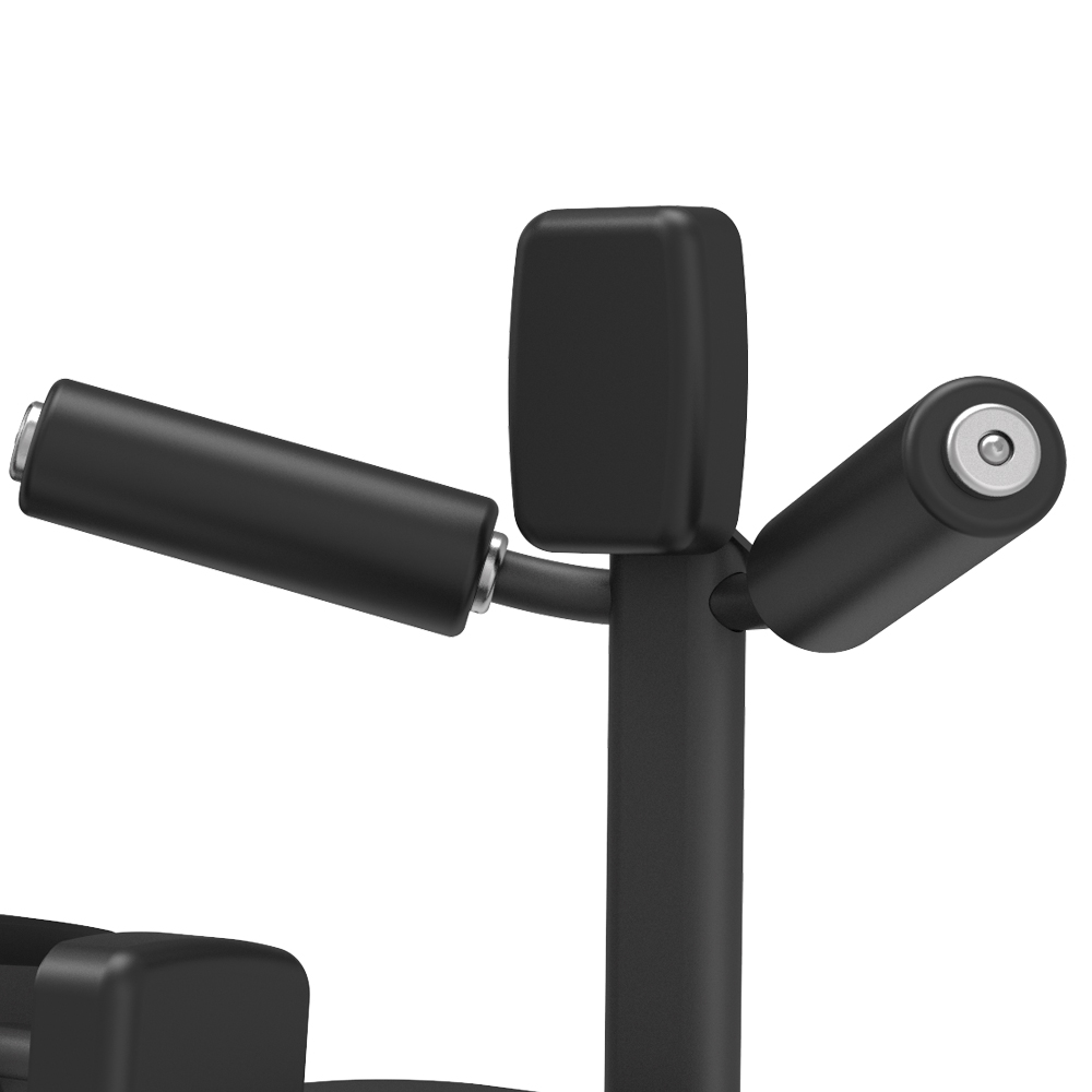 BPM1204 Seated Torso Rotation