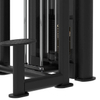 CF1A16 Assistant Chin/Dip