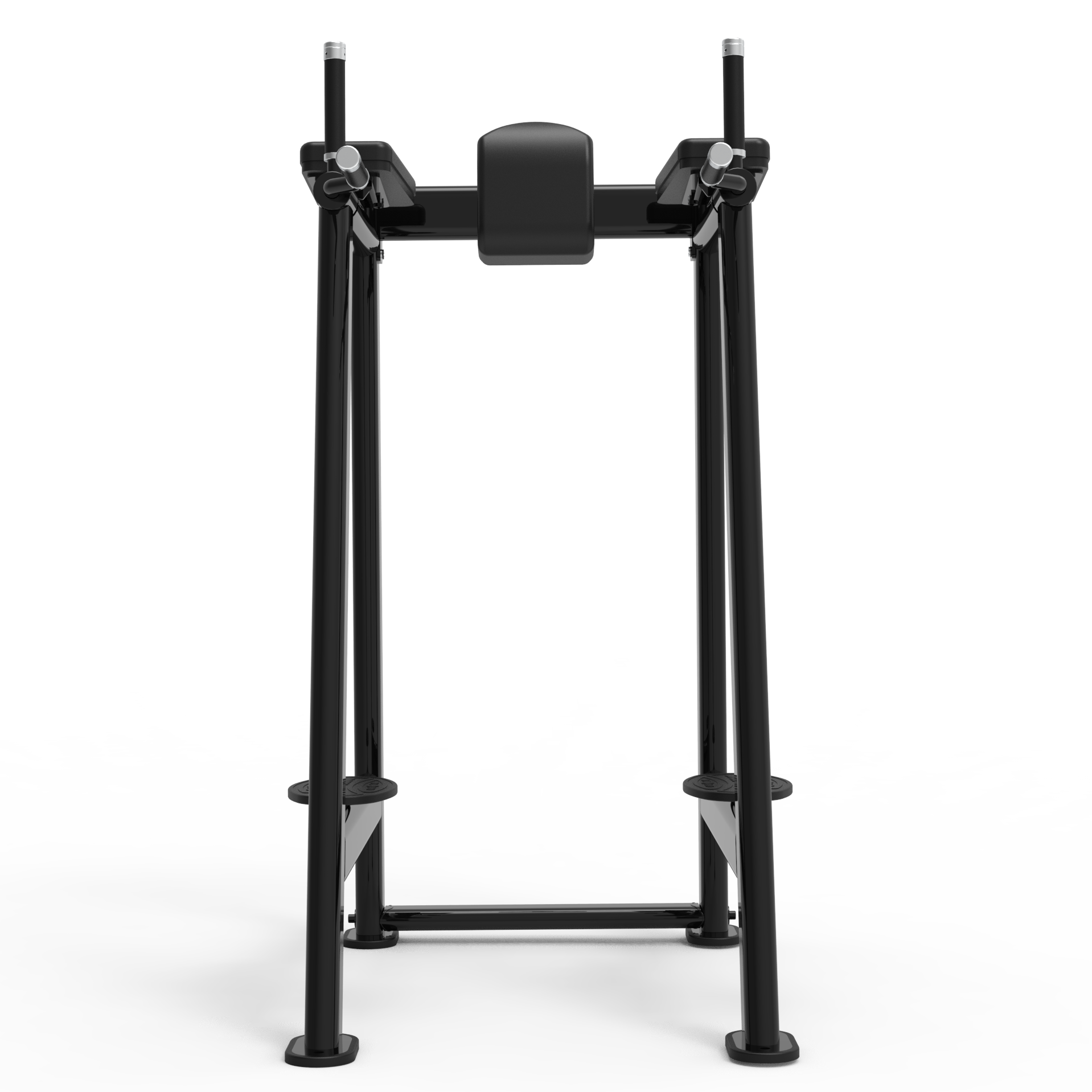 CG2045 Leg Raise/Dip