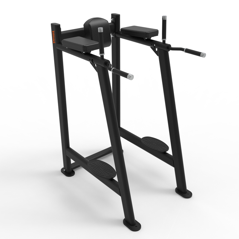 CG1045 Leg Raise/Dip