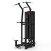 CG2A16 Assistant Chin/Dip