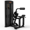 CG2017 Back Extension