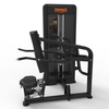 CG1012 Seated Dip 