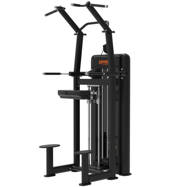 CF1A16 Assistant Chin/Dip