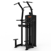 CG2016 Assistant Chin-Dip