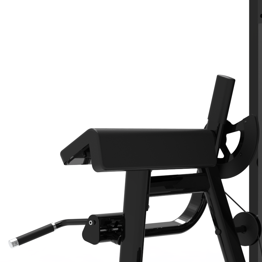 CG2010 Seated Bieceps Curl