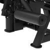 CF3012 Seated Leg Extension/Leg Curl