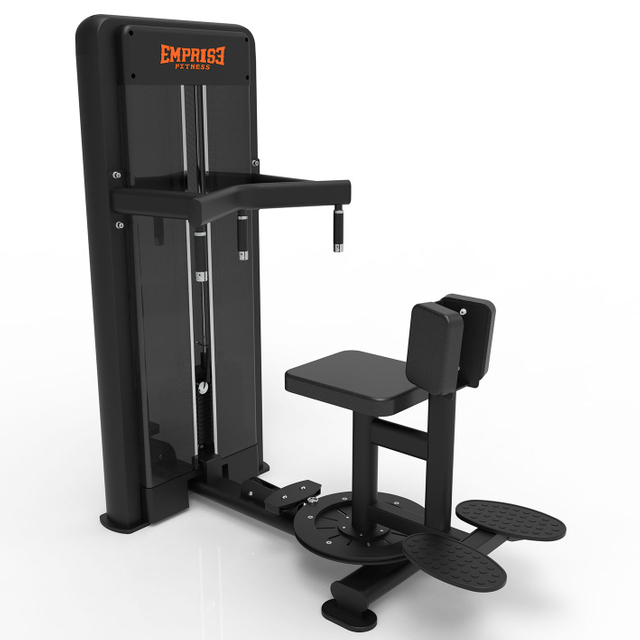 CG1019 Rotary Torso Rotation 