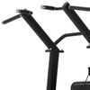 CF1A16 Assistant Chin/Dip