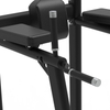 CG1045 Leg Raise/Dip