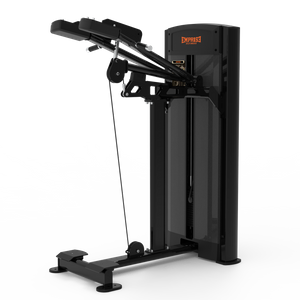 CG2031 Standing Calf Raise